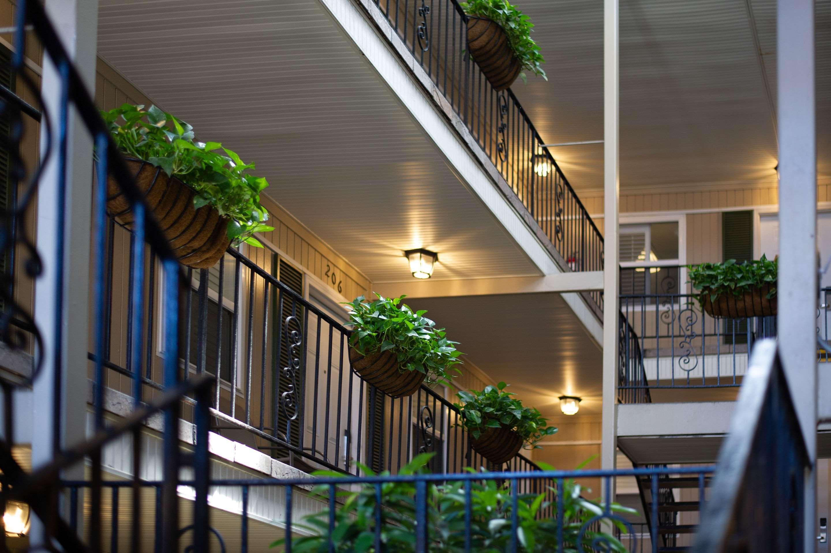 Frenchmen Orleans At 519, Ascend Hotel Collection New Orleans Exterior foto