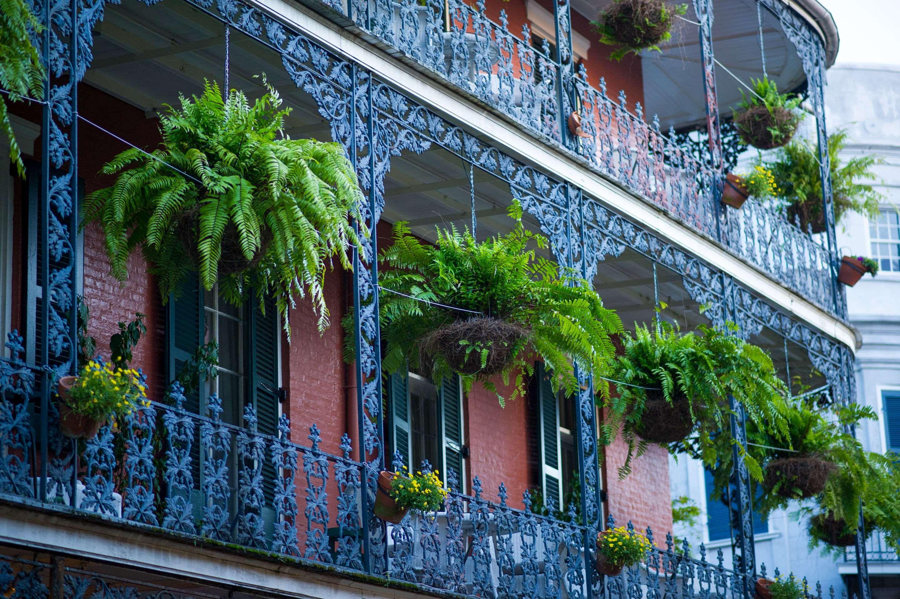 Frenchmen Orleans At 519, Ascend Hotel Collection New Orleans Exterior foto